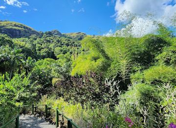 fiji/lautoka/landmark/garden-of-the-sleeping-giant