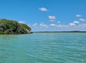 mexico/yucatan-peninsula/landmark/guardianes-de-los-manglares-de-dzinintun-recorridos-en-canoa-y-kayak-en-celestun