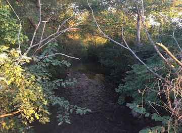 tennessee/nashville-basin/landmark/little-harpeth-river