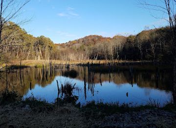 ohio/wayne-national-forest/landmark/wayne-national-forest-athens-ranger-district-athens-unit
