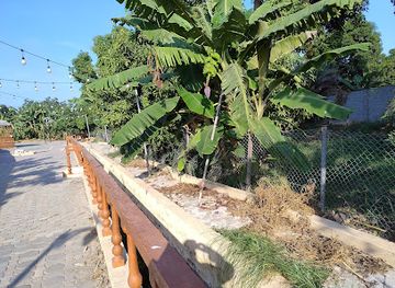 oman/sohar/landmark/majarra-falaj-al-awahi