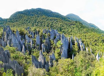 malaysia/east-malaysia/landmark/gunung-mulu-national-park