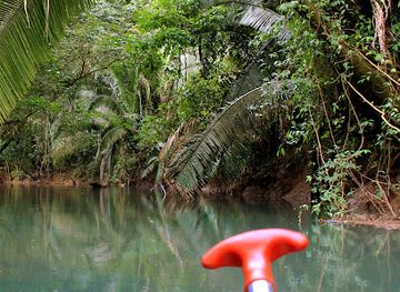 belize/coastal-plains/landmark/ecotourism-belize