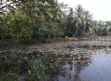 india/sundarbans/landmark/the-sundarbans-bangladesh