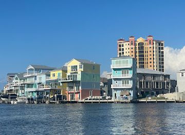 florida/cape-coral/landmark/dolphin-boat-tours-llc