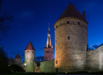 estonia/harjumaa/landmark/koismae-torni-muntide-vermija
