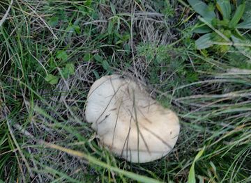 hungary/central-transdanubia/landmark/transdanubian-mountains