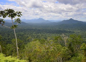 belize/hopkins/landmark/cockscomb-basin-nature-reserve