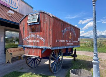 montana/polson/landmark/three-dog-down-outlet