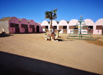 egypt/el-gouna/tamr-henna-square/landmark/habiba-horse