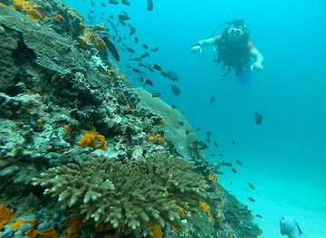 oman/musandam-peninsula/landmark/mawqe-ghws-sltnt-mn