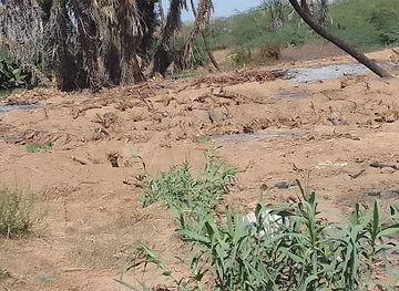 eritrea/barka/landmark/barka-river