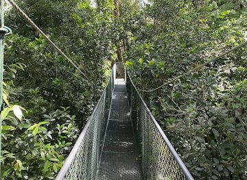 costa-rica/monteverde-cloud-forest/landmark/100-aventura