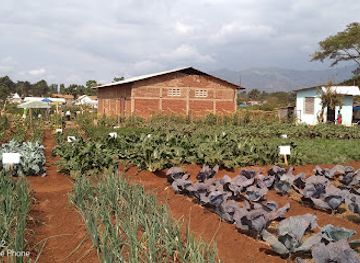 tanzania/morogoro/landmark/nane-nane