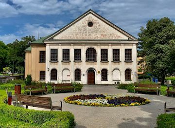 poland/lublin-upland/landmark/czartoryski-palace-in-lublin