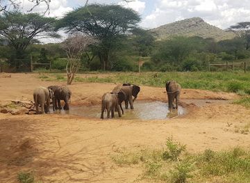 kenya/tsavo-national-park/landmark/namunyak-wildlife-conservation-trust