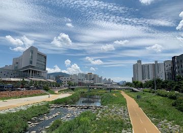 south-korea/daejeon/landmark/daejeon-skyroad