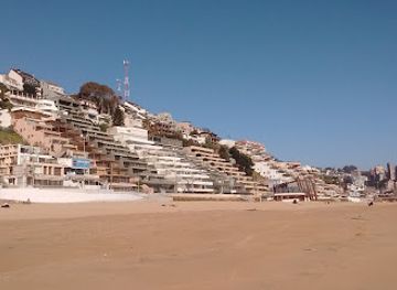 chile/vina-del-mar/renaca/landmark/renaca-beach