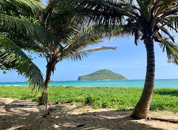 saint-lucia/vieux-fort-quarter/landmark/the-reef-beach-cafe