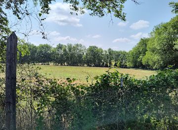 texas/piney-woods/landmark/davy-crockett-national-forest