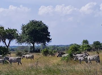 tanzania/selous-game-reserve/landmark/saadani-national-park