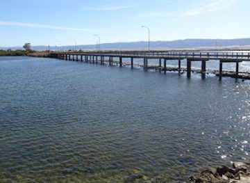 australia/south-australia/landmark/john-pirie-bridge