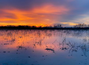 austria/lake-neusiedl/landmark/neusiedler-see-tourismus