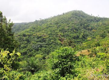 togo/mount-agou-area/landmark/mount-agou
