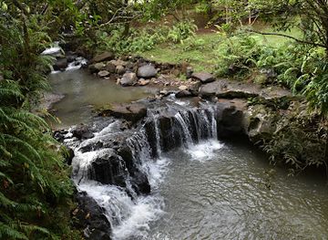 mauritius/black-river-gorges-national-park/landmark/la-vallee-des-couleurs-nature-park