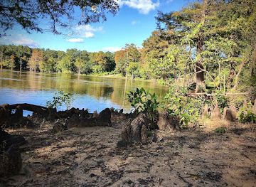 louisiana/north-louisiana/landmark/d-arbonne-national-wildlife-refuge