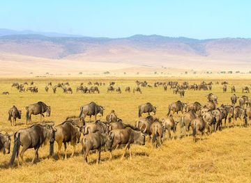tanzania/masai-steppe/landmark/born-park-adventures