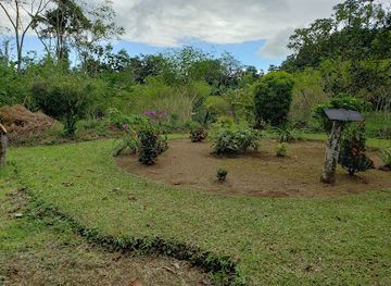 costa-rica/brunca-region/landmark/paraiso-organico