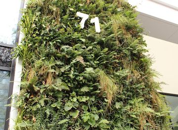 germany/berlin/landmark/die-farnmauer