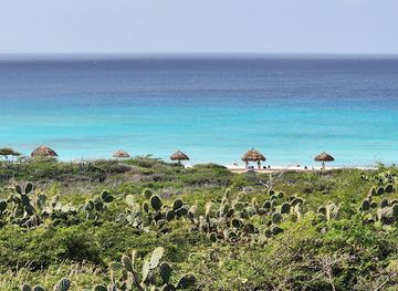 aruba/eagle-beach/landmark/california-lighthouse