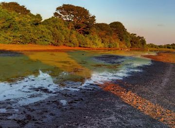 colombia/orinoquia/landmark/reserva-natural-el-encanto-de-guanapalo