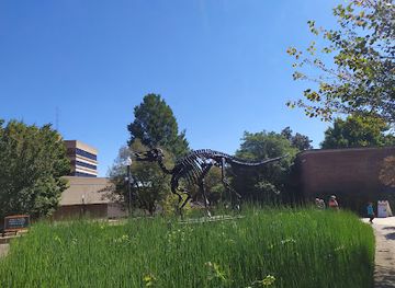 tennessee/east-tennessee/landmark/mcclung-museum-of-natural-history-culture