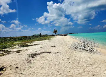Dream Beach