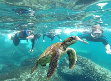 ecuador/galapagos-islands/landmark/volcanic-paradise-galapagos
