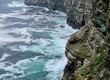 united-kingdom/orkney/landmark/rspb-scotland-marwick-head-nature-reserve
