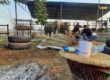 nepal/chitwan/landmark/stand-up-4-elephants
