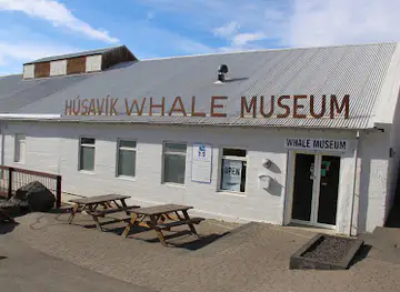Húsavík Whale Museum