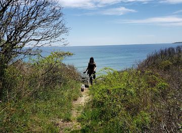 rhode-island/block-island/landmark/clay-head-nature-trail