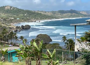 barbados/hastings/landmark/island-safari-b-dos-ltd