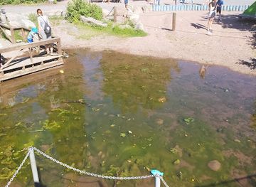 finland/turku-archipelago/landmark/adventure-park-seikkailupuisto