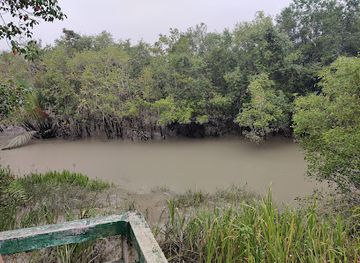 bangladesh/sundarbans/landmark/harbaria-eco-tourism-center