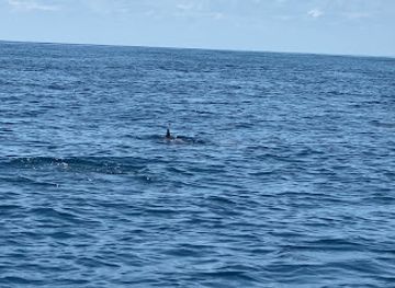 mayotte/tsingoni/landmark/lagon-aventure