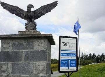 ireland/connacht/landmark/eagles-flying-ballymote-sligo