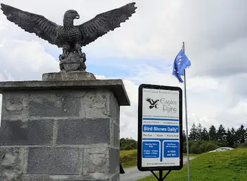 Eagles Flying Ballymote Sligo