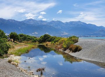 new-zealand/kaikoura/landmark/kaikoura-beach
