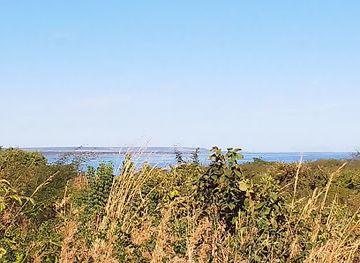 zambia/north-western-province/landmark/mweru-wantipa-national-park